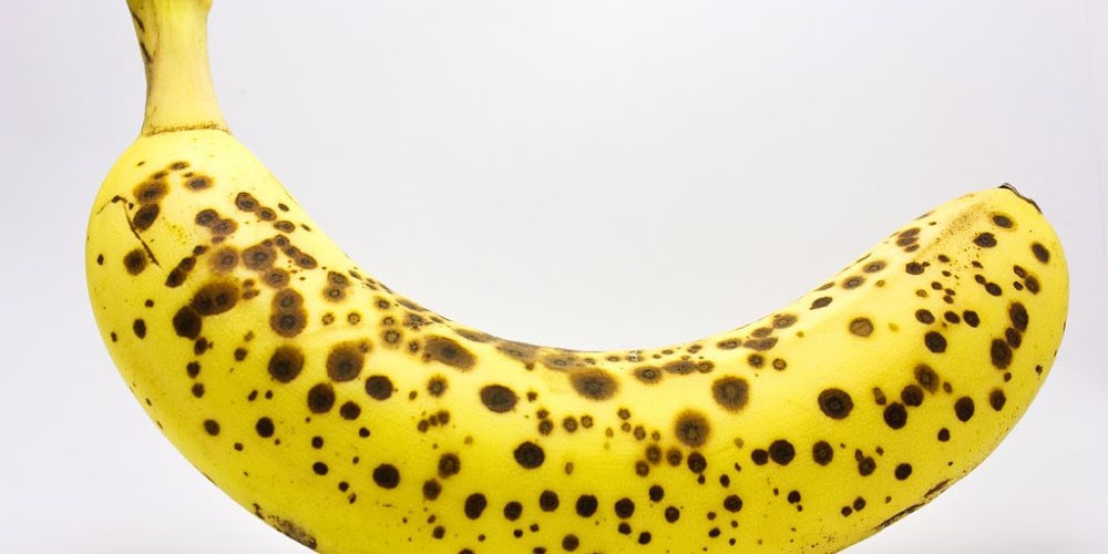 Resultado de imagem para Bananas fotos