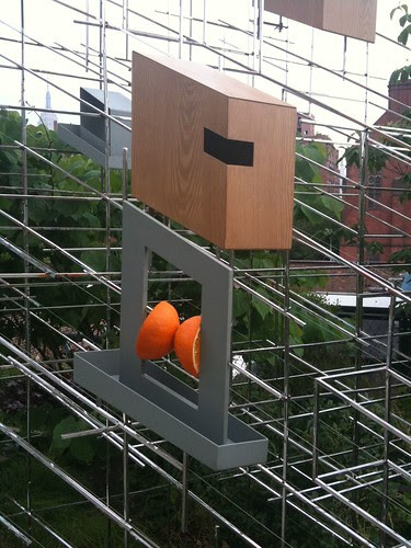 Oranges on the bird feeding station