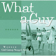 Warner Girl Group Nuggets（V.A.） / ワーナー・ガール・グループ・ナゲッツ（V.A.）「WHAT A GUY - Warner Girl Group Nuggets Vol. 3 / ホワット・ア・ガイ～ワーナー・ガール・グループ・ナゲッツ Vol.3」