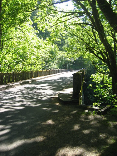 Bridge at Latourell Falls