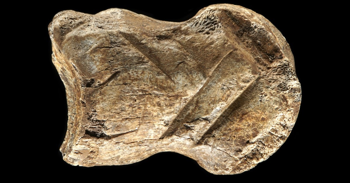 Кость из ля Ферраси для счета. Bone Carved Art. 40,000-Year-old Bone Music. Bone age. Al bone