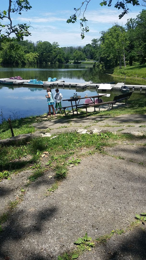 photo 20160609_134556_zps8csatghs.jpg