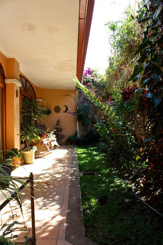 Rodrigo's Patio