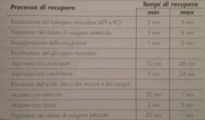 Personal Trainer Bologna - Sviluppo della massa muscolare e basi dell’ipertrofia