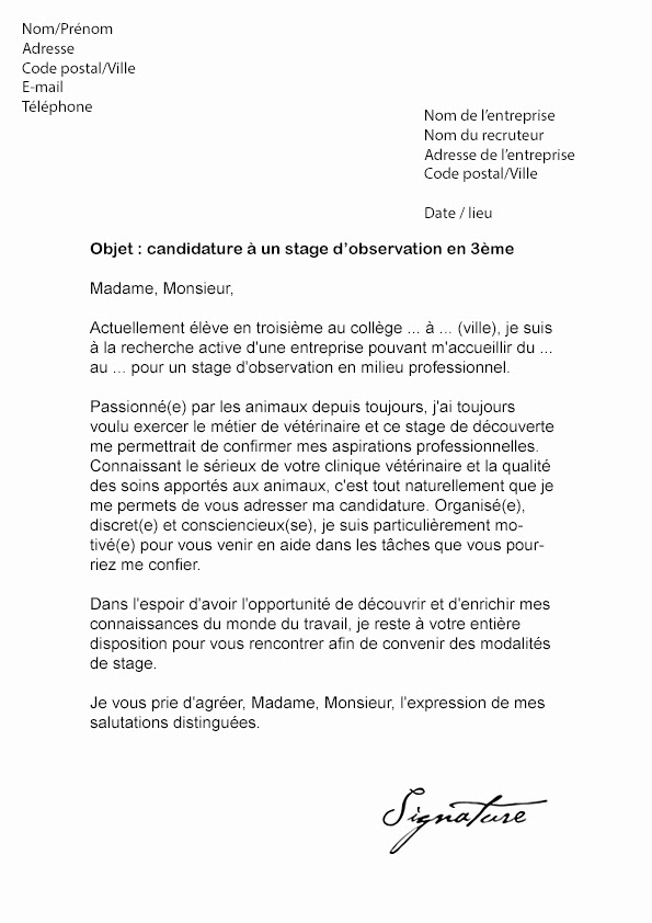 Lettre De Motivation Licence Cca T Soalan