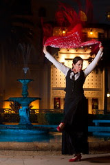 Flamenco del Sol 9