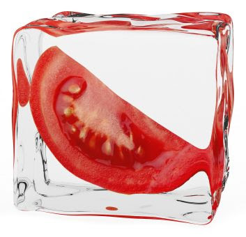 http://www.foodbites.eu/j15/images/stories/rand1/gnoristetrofima/frozen3.jpg
