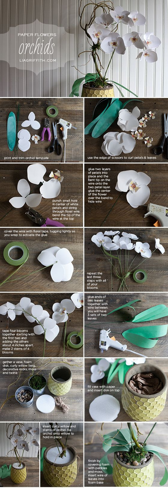 DIY Paper Orchid Tutorial by Lia Griffith