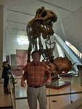 me and T-Rex
