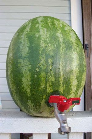 Sandia SelfService para le verano