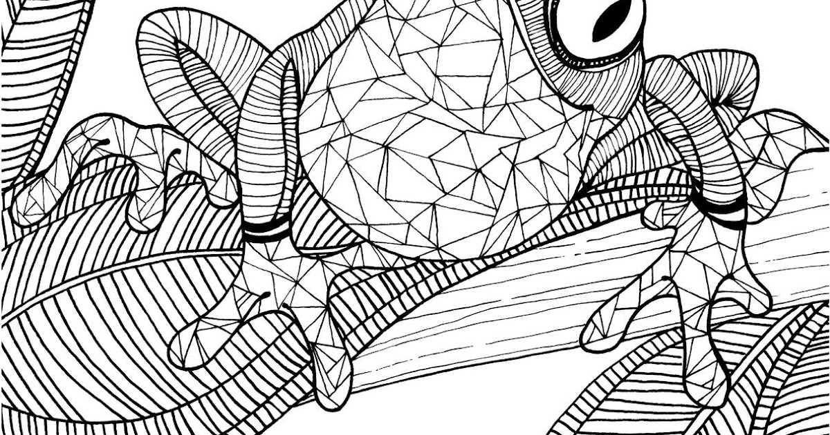 Artistic Frog Coloring Pages For Adults | ohmygodisthefunkyshit