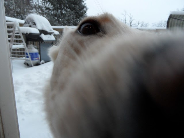 December 27-Maggie's nose