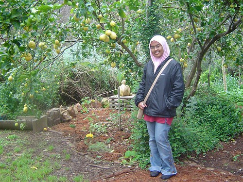 Wani 1 011