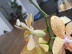 P1010341