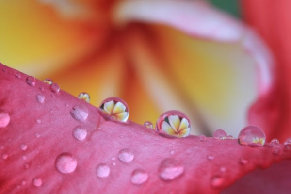 realistic-water-drops-drawings-and-tutorials0091