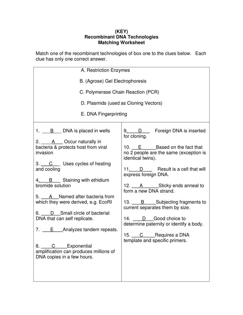 Heredity Worksheets Worksheets Ratchasima Printable Worksheets And Kids Activities Worksheet
