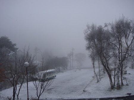 DSC06497