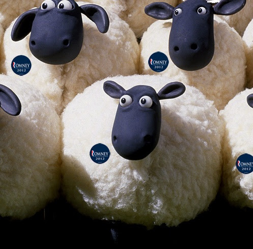romney_sheep_sq