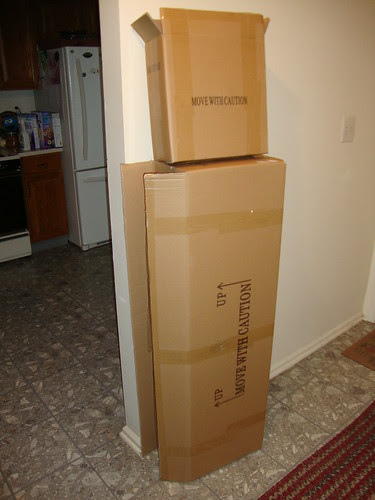 the boxes my dressform came in