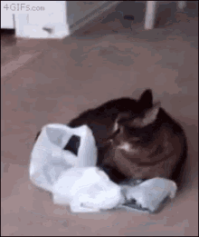 haha …. follow http://ift.tt/1BICM7d
#funny gif #funny gifs #lol gif