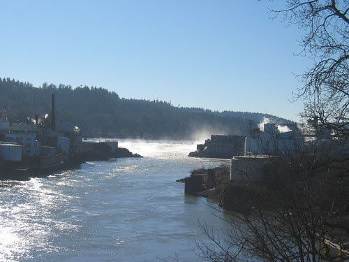 Willamette Falls, from the bridge