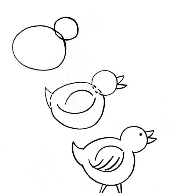 Dibujos De Animales Faciles Para Dibujar A Lapiz