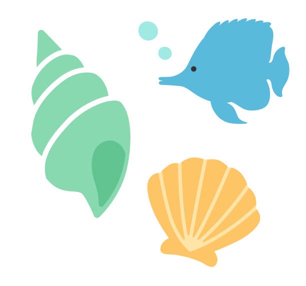 最新 巻貝 イラスト 巻貝 イラスト かわいい Imgpatblog