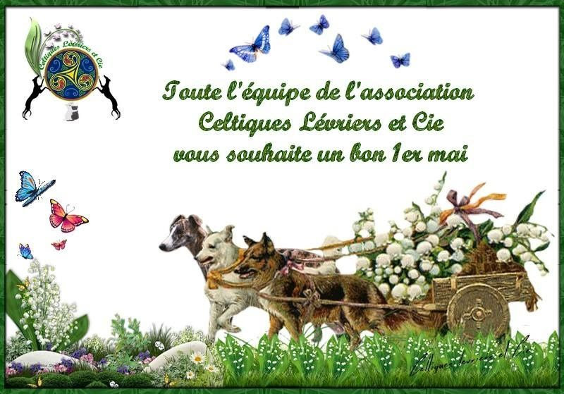 Myfaitrh Photo Muguet 1er Mai Chien
