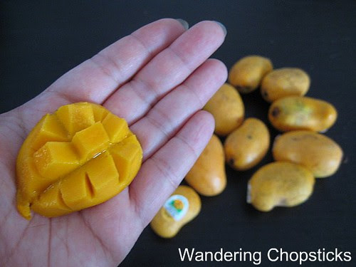 World's Smallest Mangoes 2