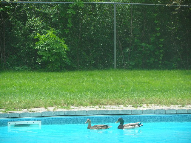 June 21
