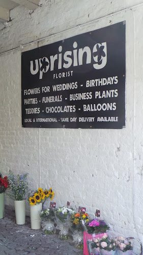 Reviews of Uprising Ltd in London - Florist