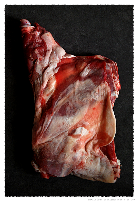goat shoulder© by Haalo