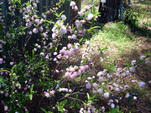 DSC05496