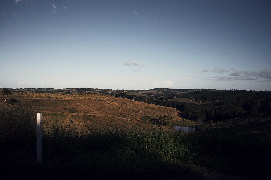 DSC_1502