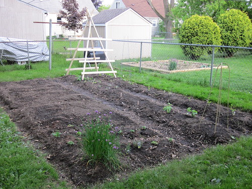 Garden 2010: Day 1