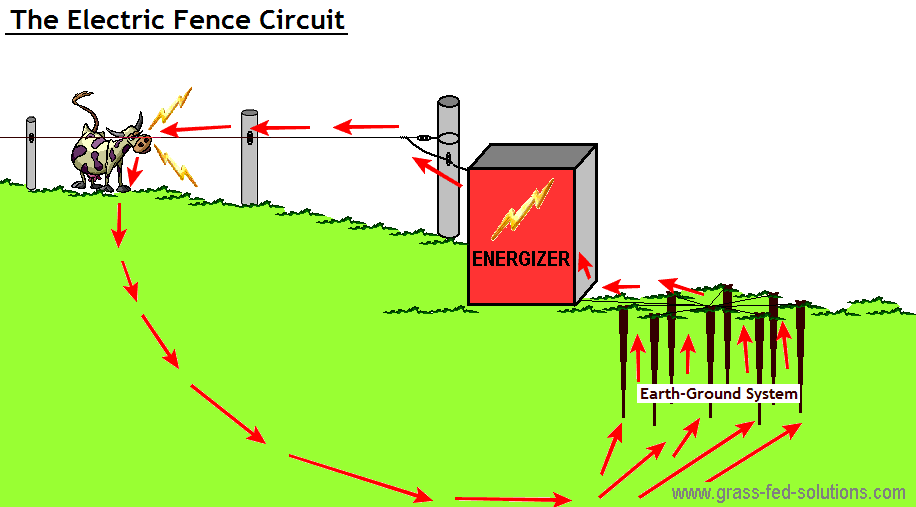 Electric Fence Energizer Wiring Diagram - DOUBTLESSARA