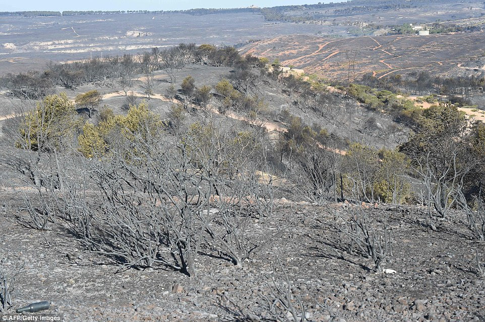 Quando o sol surgiu das chamas queimou-se para fora, deixando arbustos única retorcidos e terra queimada