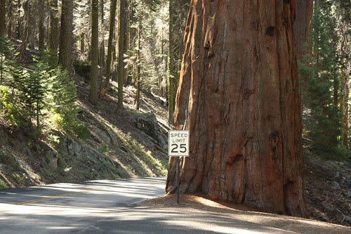 400 sequoia w sign