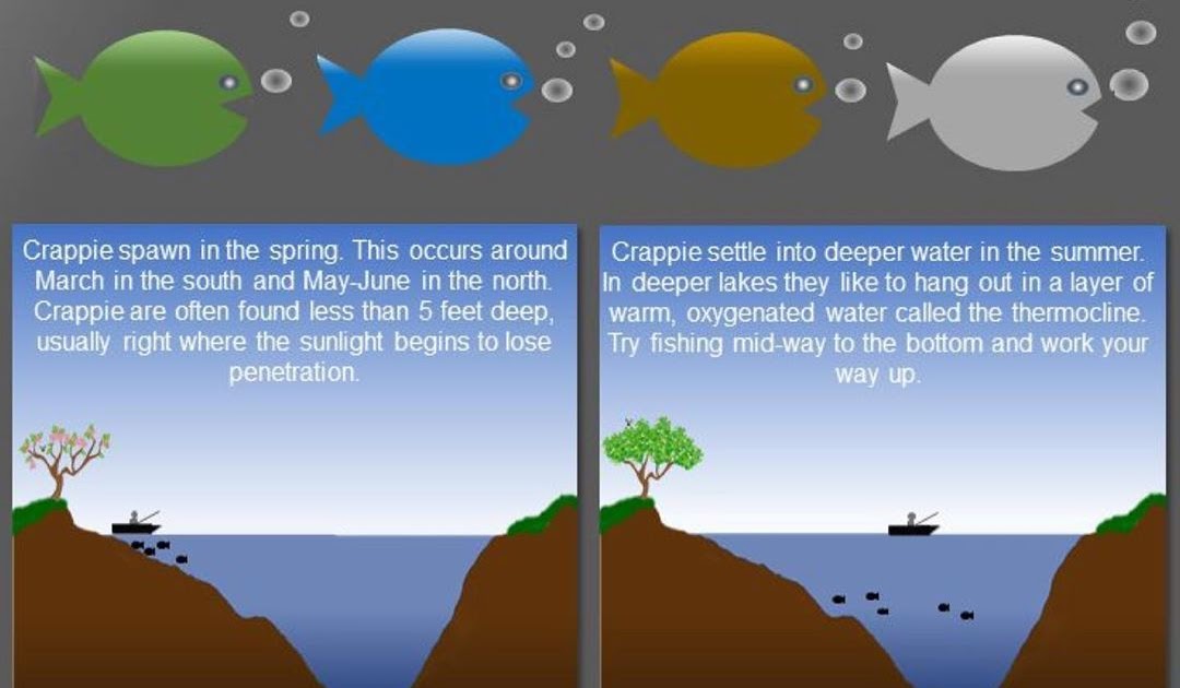 important-why-do-lakes-turnover-happy-gardening