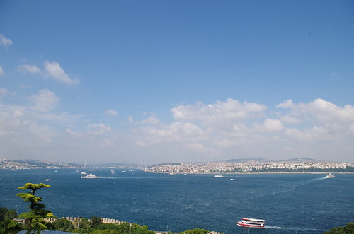 IMGP1946