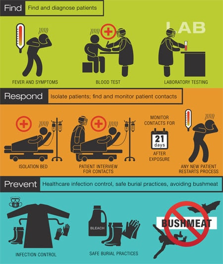 Stopping the Ebola Outbreak infographic