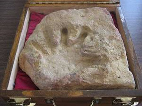 Отпечаток ладони человека возрастом 110 миллионов лет