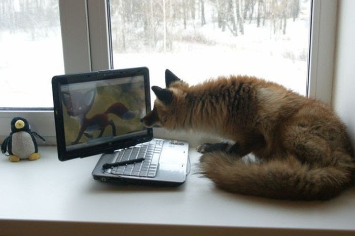 Collection of emotional pictures. Part 19 (51 photos) Collection of emotional pictures. Part 19 (51 photos)