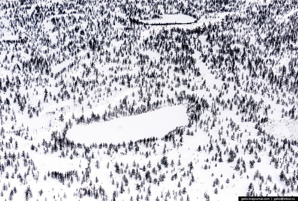 19 19