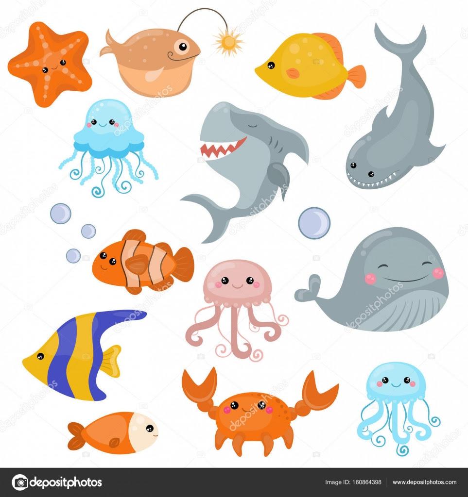海 の 生き物 イラスト プログラム ニュース