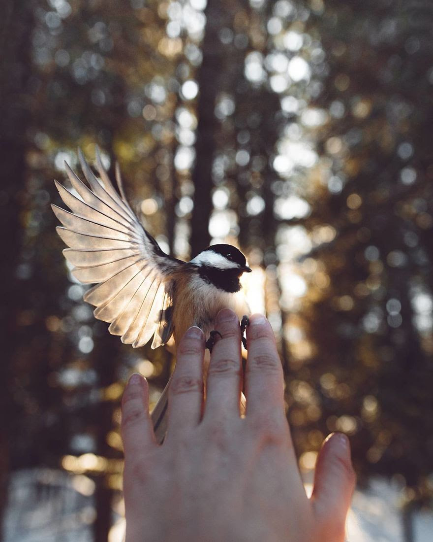 How I Got Seduced By Wildlife Photography How I Got Seduced By Wildlife Photography