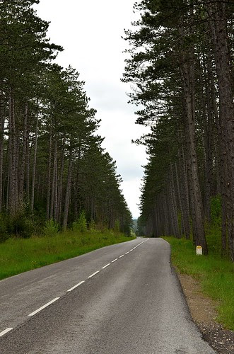 Causse Sauveterre