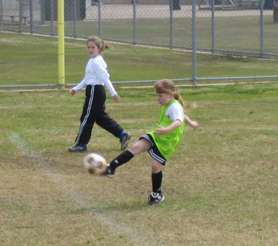 Logan Punt