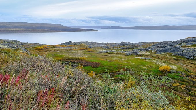 «Получить в безвозмездное пользование»: стартовала программа предоставления россиянам земли в Арктике