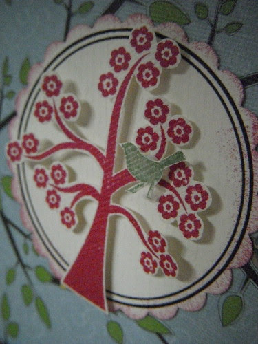 Dimensional Tree Tag